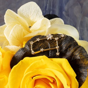 ����͂����ԕق̏�ŁA�o�q���̃`���[�����Â��ɏu���܂��B