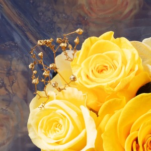 �o���̌��Ԃ���A�����̂悤�ȃS�[���h�̃J�X�~�\�E������̂������Ă��܂��B