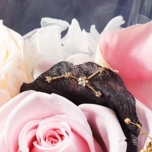 ����͂����ԕق̏�ŁA�I���̃`���[�����Â��ɏu���܂��B