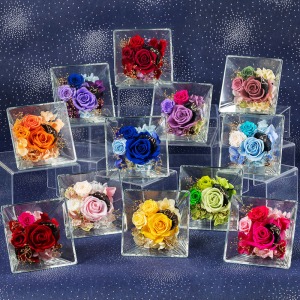 ��؂Ȑl�́w���x�𑡂�܂��񂩁H�z�����`�ɂ���A12�����̃t�����[�M�t�g�ł��B