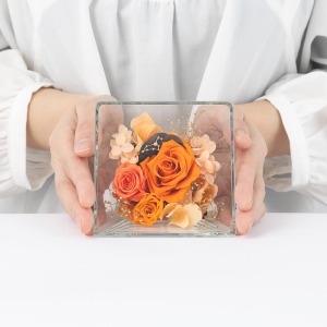 ��l�̏������������傫���C���[�W�ł��B