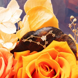 ����͂����ԕق̏�ŁA���q���̃`���[�����Â��ɏu���܂��B