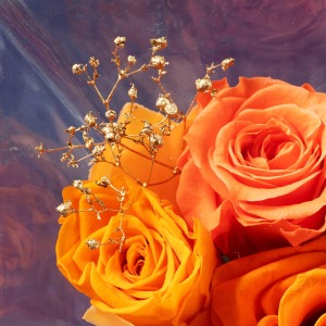 �o���̌��Ԃ���A�����̂悤�ȃS�[���h�̃J�X�~�\�E������̂������Ă��܂��B