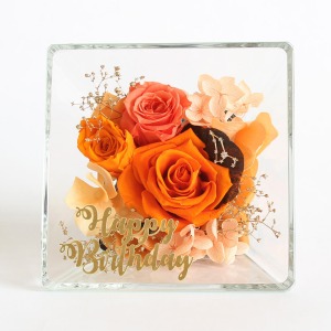 �uHappy Birthday�v�̃��b�Z�[�W��Y���āA��w���ʂȃM�t�g�ɁB�i�{220�~/�ō��j