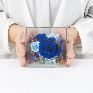 ��l�̏������������傫���C���[�W�ł��B