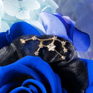 ����͂����ԕق̏�ŁA�������̃`���[�����Â��ɏu���܂��B