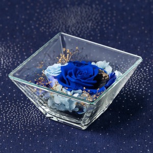 �u������ς��āA���Ԃ�^�ォ�璭�߂郌�C�A�E�g�ł��y���߂܂��B