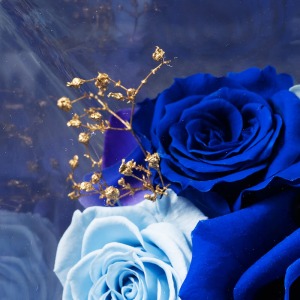 �o���̌��Ԃ���A�����̂悤�ȃS�[���h�̃J�X�~�\�E������̂������Ă��܂��B