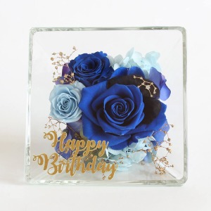 �uHappy Birthday�v�̃��b�Z�[�W��Y���āA��w���ʂȃM�t�g�ɁB�i�{220�~/�ō��j