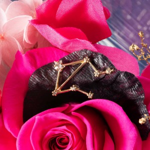 ����͂����ԕق̏�ŁA�V�����̃`���[�����Â��ɏu���܂��B