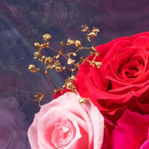 �o���̌��Ԃ���A�����̂悤�ȃS�[���h�̃J�X�~�\�E������̂������Ă��܂��B