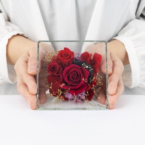 ��l�̏������������傫���C���[�W�ł��B