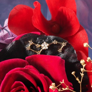 ����͂����ԕق̏�ŁA嶍��̃`���[�����Â��ɏu���܂��B