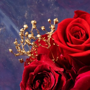 �o���̌��Ԃ���A�����̂悤�ȃS�[���h�̃J�X�~�\�E������̂������Ă��܂��B