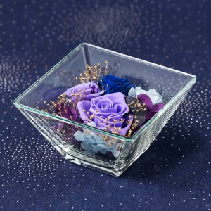 �u������ς��āA���Ԃ�^�ォ�璭�߂郌�C�A�E�g�ł��y���߂܂��B