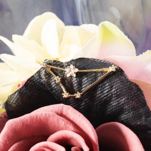 ����͂����ԕق̏�ŁA�R�r���̃`���[�����Â��ɏu���܂��B