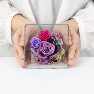 ��l�̏������������傫���C���[�W�ł��B