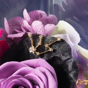 ����͂����ԕق̏�ŁA���r���̃`���[�����Â��ɏu���܂��B