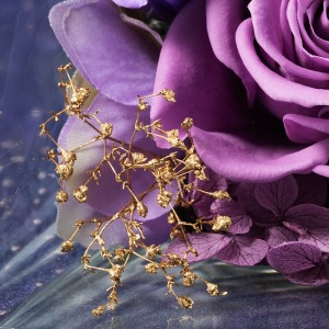 �o���̌��Ԃ���A�����̂悤�ȃS�[���h�̃J�X�~�\�E������̂������Ă��܂��B