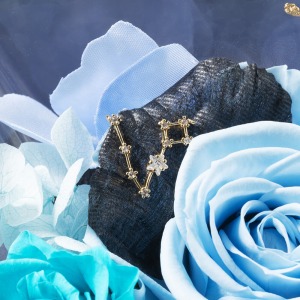 ����͂����ԕق̏�ŁA�����̃`���[�����Â��ɏu���܂��B