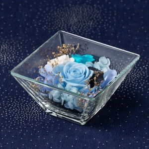 �u������ς��āA���Ԃ�^�ォ�璭�߂郌�C�A�E�g�ł��y���߂܂��B