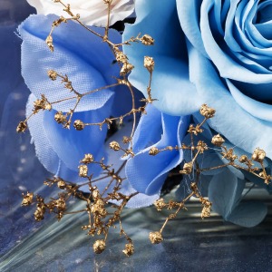 �o���̌��Ԃ���A�����̂悤�ȃS�[���h�̃J�X�~�\�E������̂������Ă��܂��B