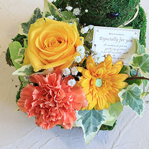 ���F�̃o����J�[�l�V�����Ȃǂ̉ԁX�́A���̏ꂪ�p�b�Ɖ؂€�A���邭���C�Ȉ�ۂł��B