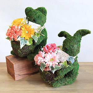 ���X�͓��ɓ�����ƑސF����̂ŁA�����ł̊Ǘ����I�X�X�����܂��B