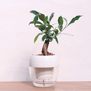 ����p�x�ɂ��A��ۂ��S���قȂ�܂��B���D�݂̊p�x�Ŋy���񂾂�A�����Ⴄ�p�x�ň�ۂ�ς��Ċy���񂾂�c�����̊y���ݕ����ł������B