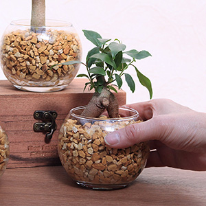 ��l�̏������������C���[�W�ł��B�荠�ȃT�C�Y���ł͕��L���V�[���Ŋ��􂵂����B���A���̓K�W���}���ł��B