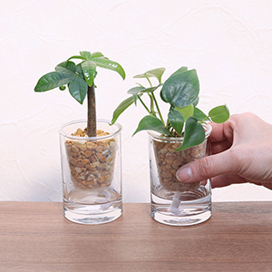 ��l�̏������������C���[�W�ł��B�荠�ȃT�C�Y���ł͕��L���V�[���Ŋ��􂵂����B