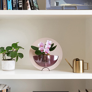 �X�^���h���t�����Ă���A�u���ď��邱�Ƃ��ł��܂��B