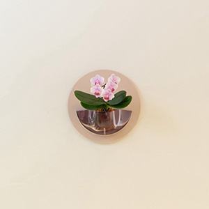 �ʂ̊p�x���猩���C���[�W�ł��B