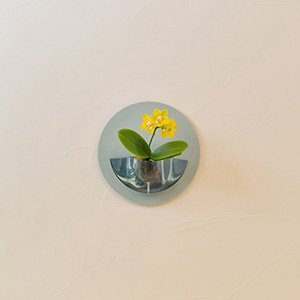 �ʂ̊p�x���猩���C���[�W�ł��B