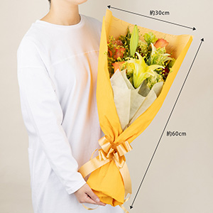 ����ŕ�����Big�T�C�Y�B���T�̕����Ȃǂł��f���鍋�؂��ł��B�i��l�̏������������ꍇ�̑傫���C���[�W�ł��B�j