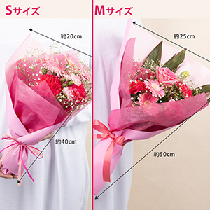 M�T�C�Y��S�T�C�Y�̔�r�C���[�W�ł��B