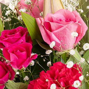 �o���͏_�炩�ȐF�����X�^���_�[�h�^�C�v�ƃr�r�b�g�ȃX�v���[�^�C�v��2��̃s���N���g�p���Ă��܂��B