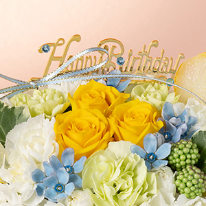 �o�[�X�f�[�s�b�N�ɁA�A�N�A�}�����̂悤�ȃ��C���X�g�[���������炢�܂����B