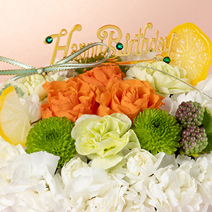 �o�[�X�f�[�s�b�N�ɁA�G�������h�̂悤�ȃ��C���X�g�[���������炢�܂����B