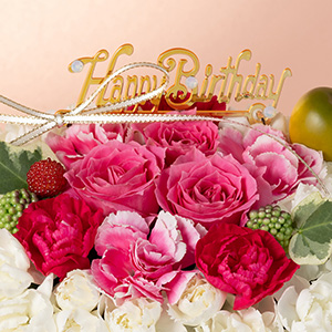 �o�[�X�f�[�s�b�N�ɁA�p�[���̂悤�ȃ��C���X�g�[���������炢�܂����B