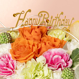 �o�[�X�f�[�s�b�N�ɁA�g�p�[�Y�̂悤�ȃ��C���X�g�[���������炢�܂����B