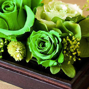 �u�����Ȃ��v�̃f�U�C���́A�����̑���Ƀo��������܂��B
