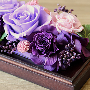 �u�����Ȃ��v�̃f�U�C���́A�����̑���Ƀo��������܂��B