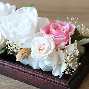 �u�����Ȃ��v�̃f�U�C���́A�����̑���Ƀo��������܂��B