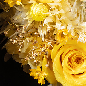 ���ʊ���Y����S�[���h�̃J�X�~�\�E����������Ă��܂��B���̐��̂悤�ɃA�N�Z���g�ƂȂ�A�؂₩�ŏ�i�Ȉ�ۂ����o���Ă��܂��B