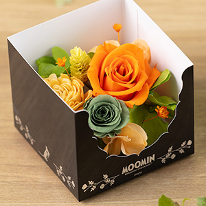 �X�i�t�L�����C���[�W�����F�����̃t�����[�A�����W�ł��B