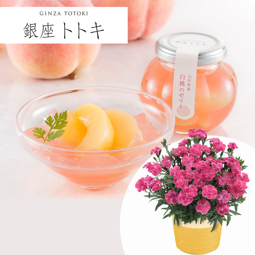 ��̓��@���A���Z�b�g�u����g�g�L�ďC�@�R�`���Y�����̃[���[�v