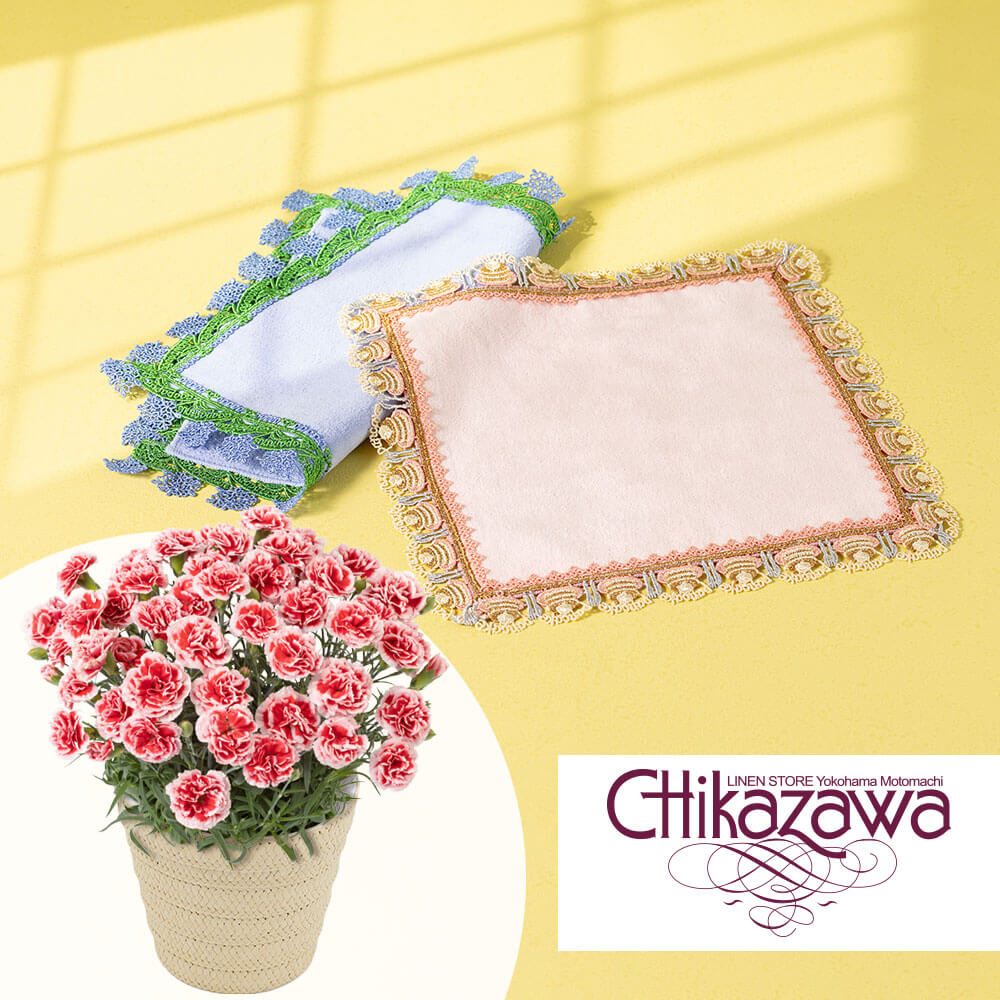 ��̓��@���A���Z�b�g�u�ߑ򃌁[�X�X�^�I���n���J�`�v