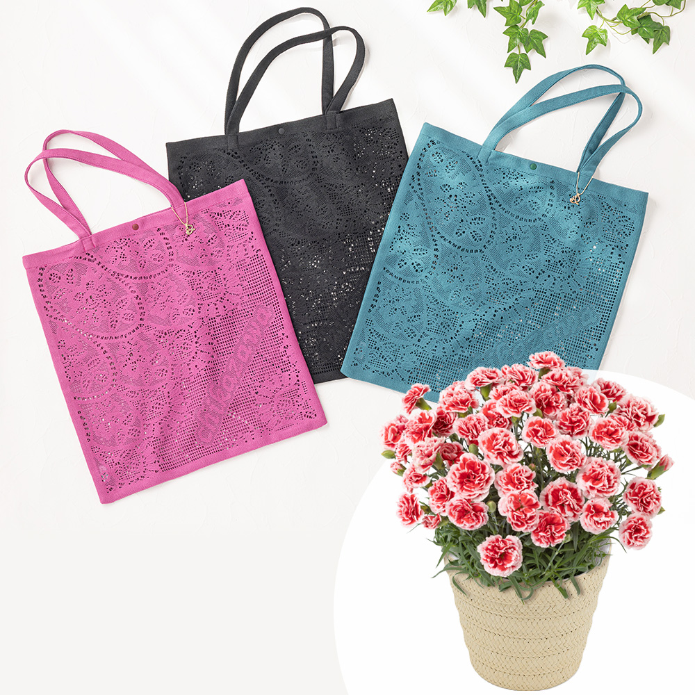 母の日　鉢植えセット「近沢レース店レーストート」