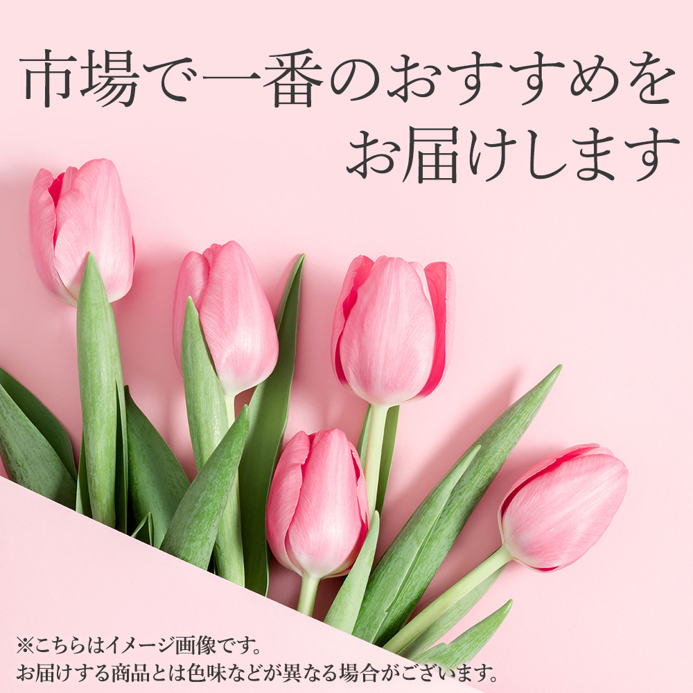 �ԑ��uTodays Tulip�`���Ƃɏ��낤�`�v